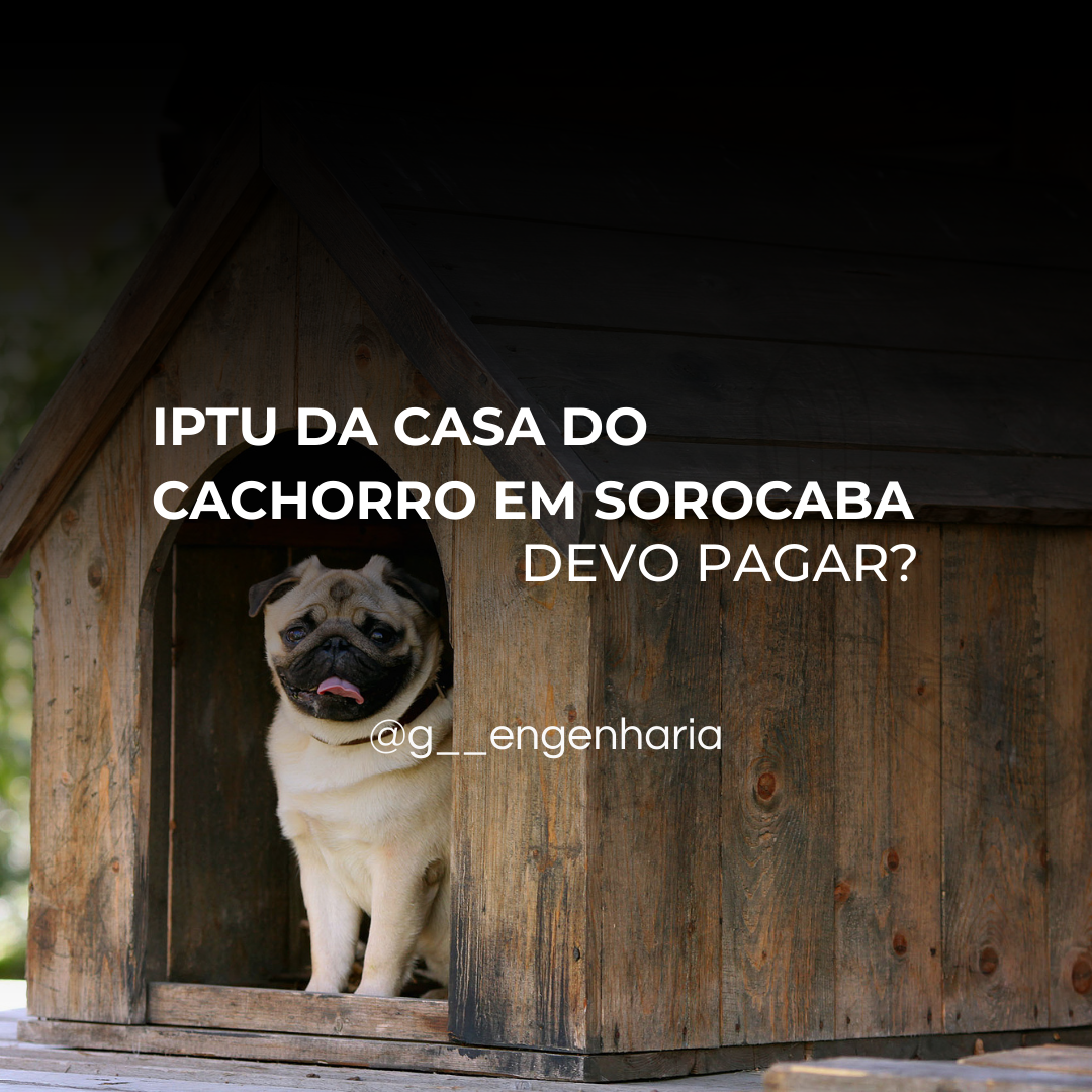Estou pagando IPTU do meu cachorro.